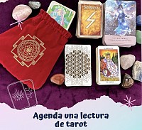 Lectura de Soltería